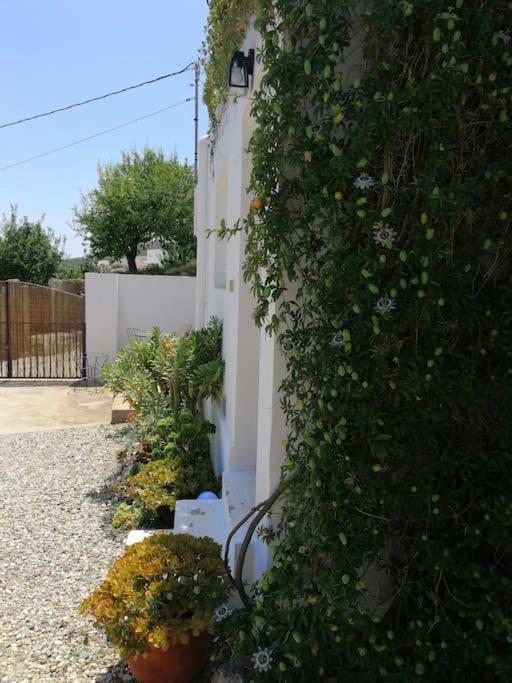 Casa Jardin. Vivienda Rural En Zona Tranquila.