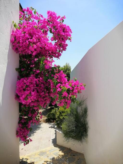 Casa Jardin. Vivienda Rural En Zona Tranquila. Holiday home Lucainena de las Torres