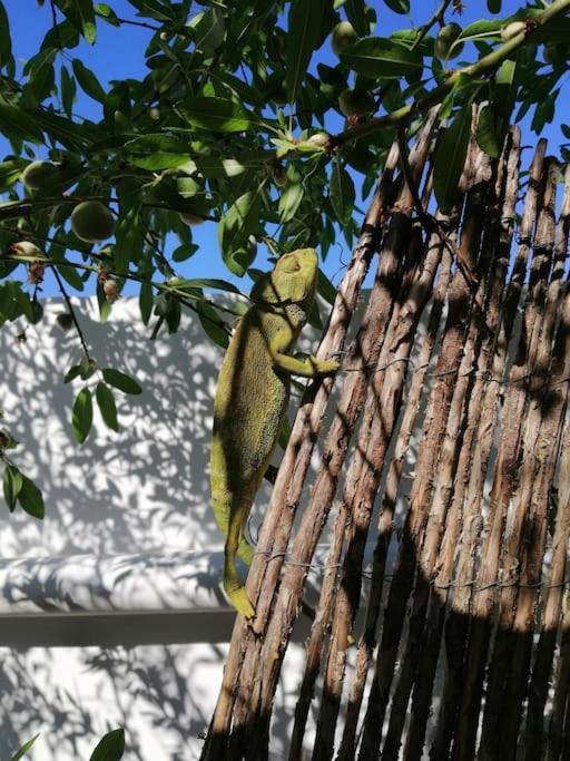 Holiday home Casa Jardin. Vivienda Rural En Zona Tranquila. *