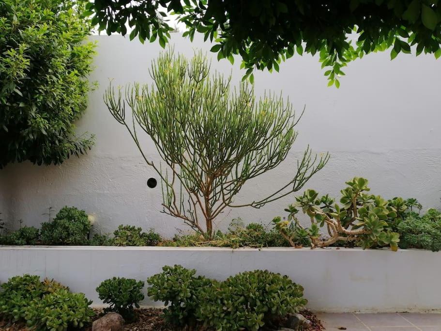 Casa Jardin. Vivienda Rural En Zona Tranquila. *