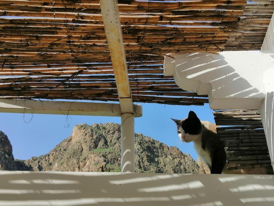Casa Jardin. Vivienda Rural En Zona Tranquila.