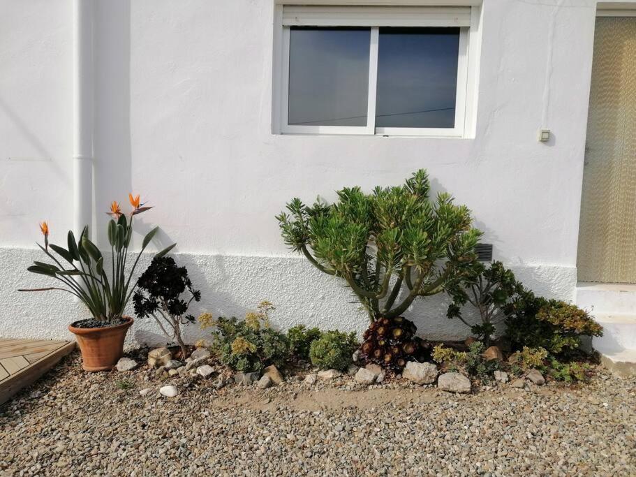 Casa Jardin. Vivienda Rural En Zona Tranquila. Casa de Férias *